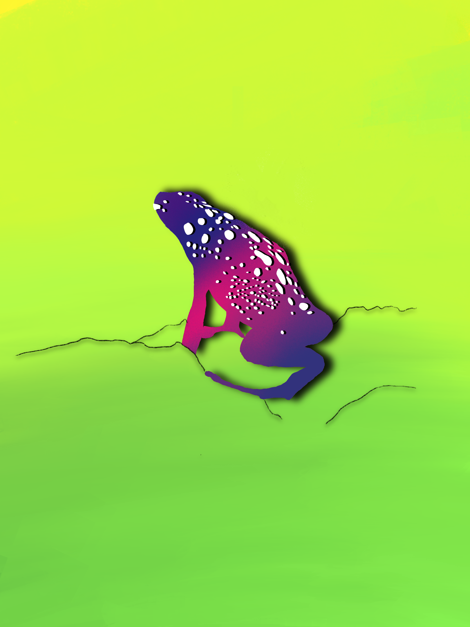 A colorful frog