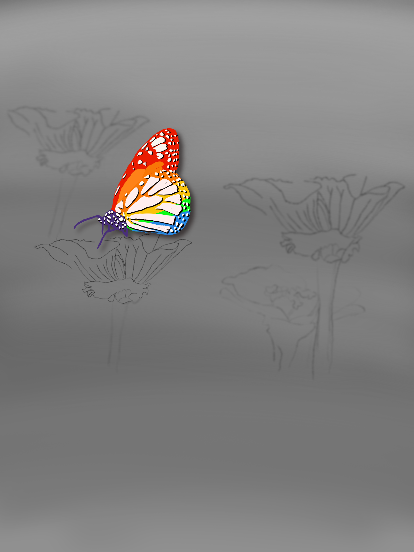 A rainbow butterfly in front of a gray background