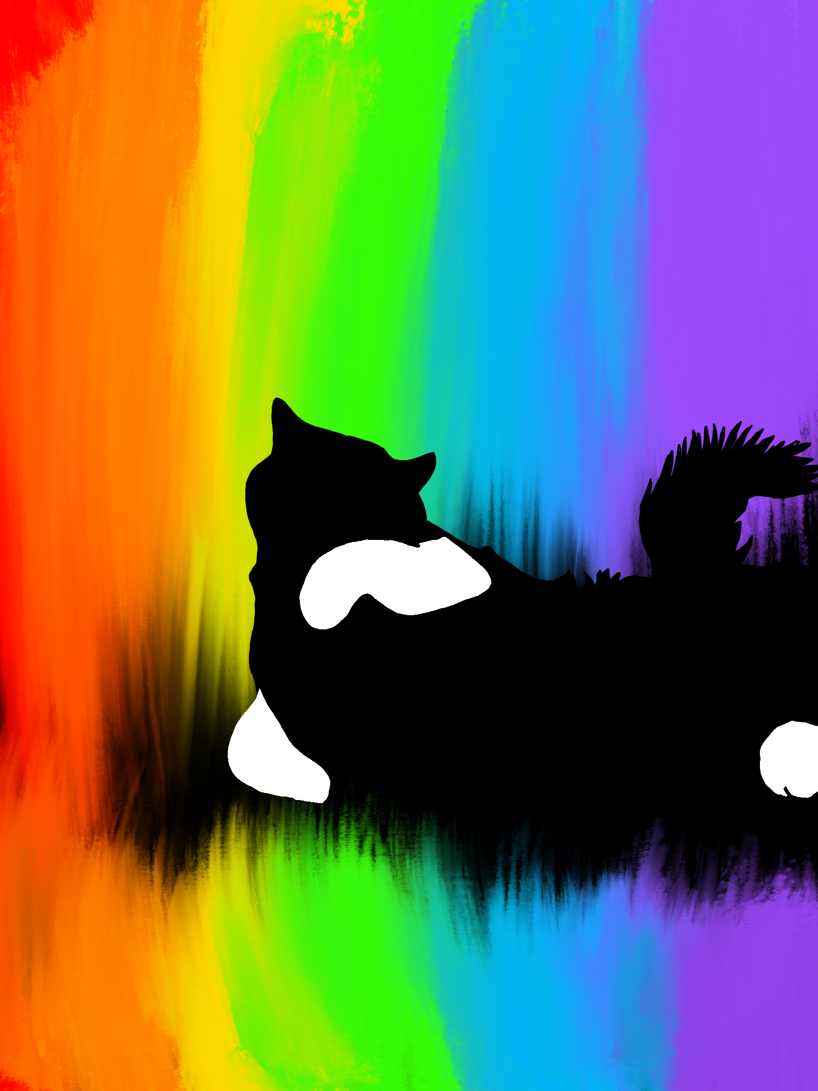 A silhouette of a cat (Han) in front of a messy rainbow background for contrast