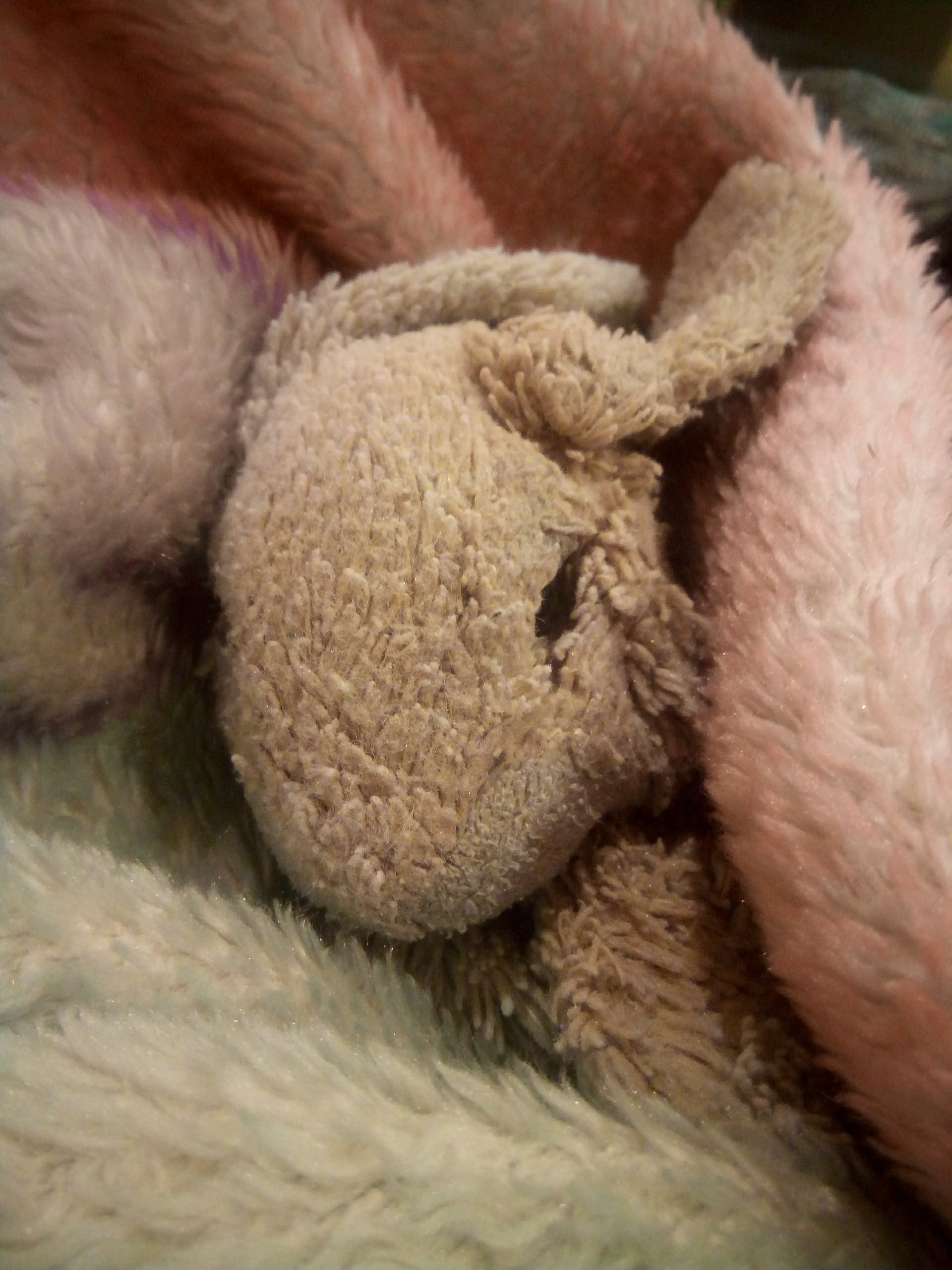 Vita in a blanket as a baby