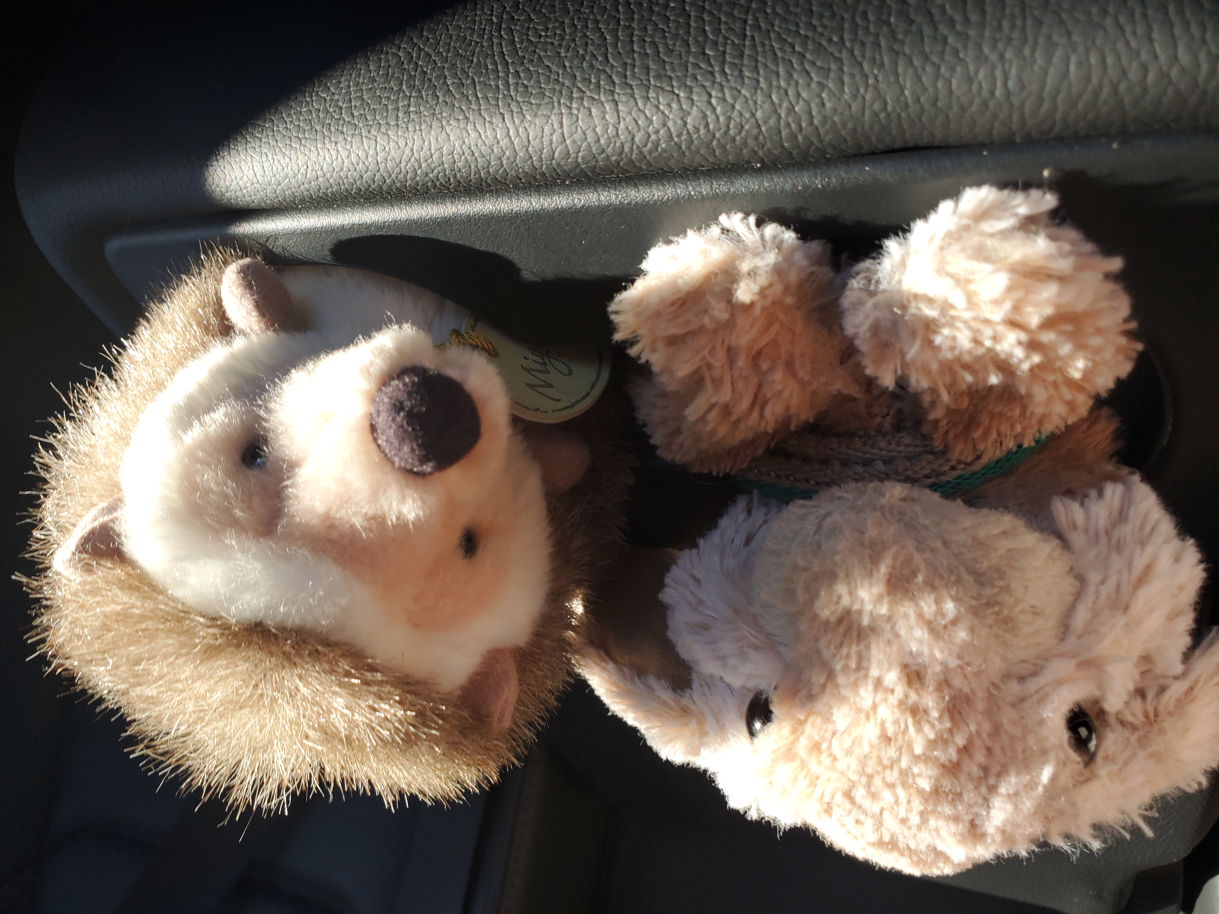 Vita and Hedgie using cupholders as seats